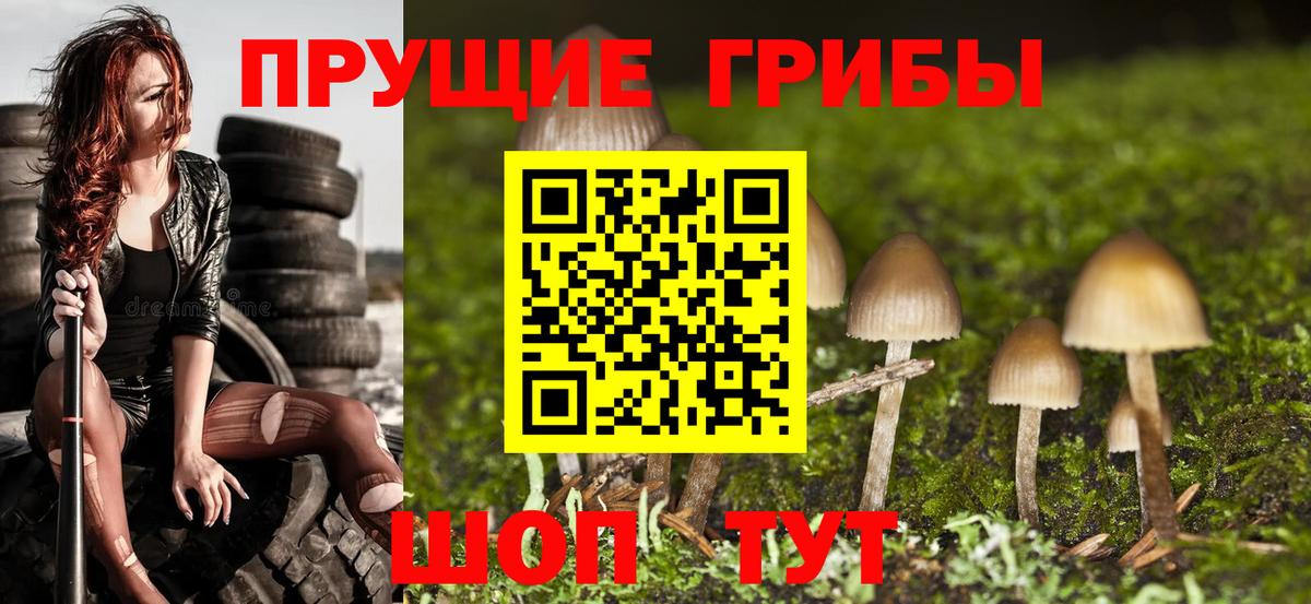 Псилоцибиновые грибы GOLDEN TEACHER  где можно купить   Псилоцибиновые грибы Psilocybine cubensis  Новочебоксарск  Вход с VPN 